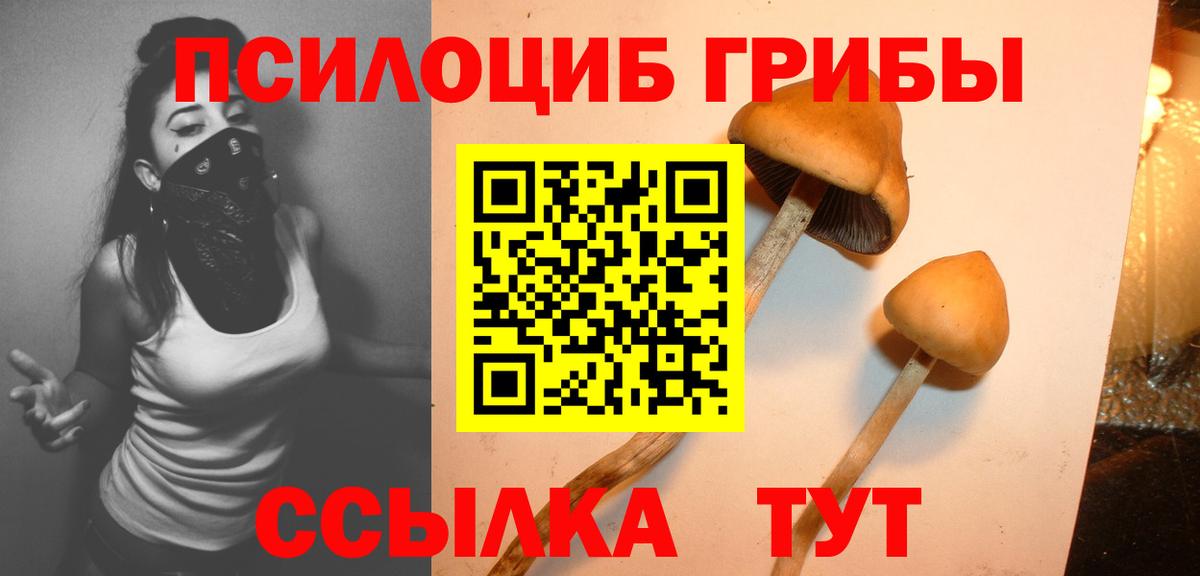 Галлюциногенные грибы GOLDEN TEACHER Жигулёвск